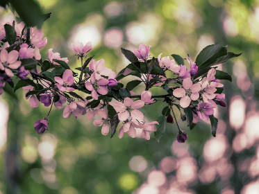 500全国开奖结果最新公布，快来看看你中奖了吗？