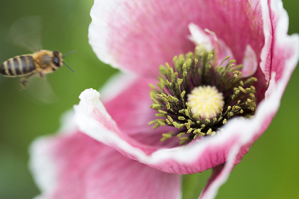 深入分析亚虎注册官方流程与风险提示