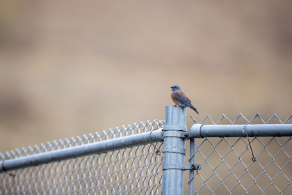 500期3D开奖结果完整版：历史数据全收录