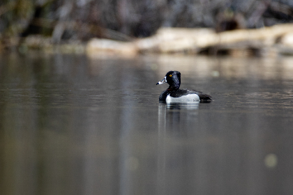 500万彩票开奖号码揭晓，幸运得主即将诞生